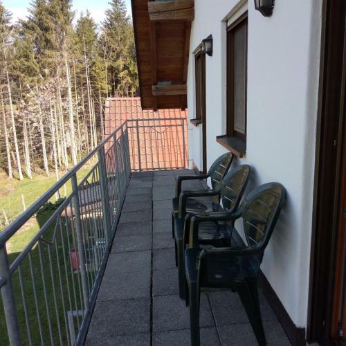 Hostal Gasthof Gr�ner Baum "kongo"