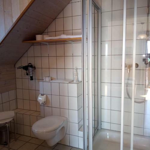 Hostal Gasthof Gr�ner Baum "kongo"