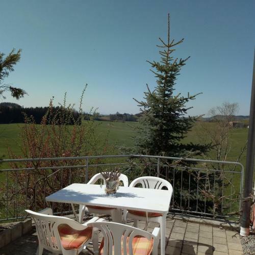 Hostal Gasthof Gr�ner Baum "kongo"