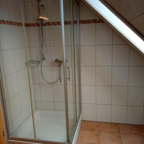 Hostal Gasthof Gr�ner Baum "kongo"