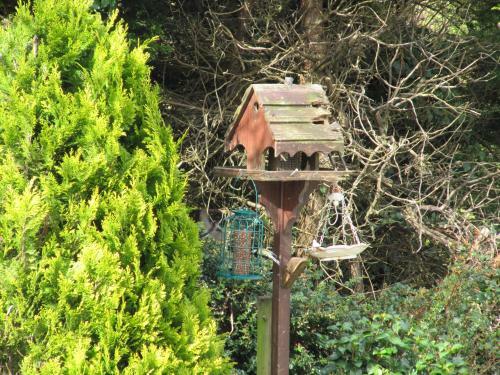Bed & Breakfast Niblick