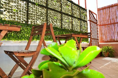 Salenterra B&B (salento)