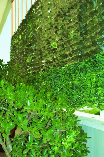 Salenterra B&B (salento)