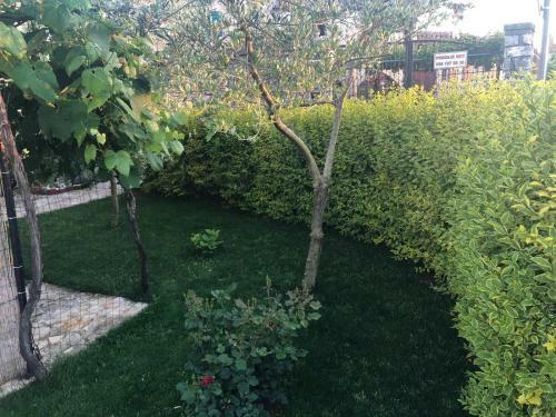 Hostal Casa Borgo