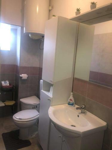 Apartmani ?oki?