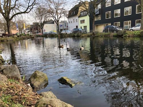 Apartamento Ferienwohnung "am Ochsentor"