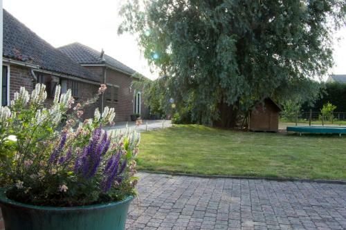 Apartamento Lavender Lodge