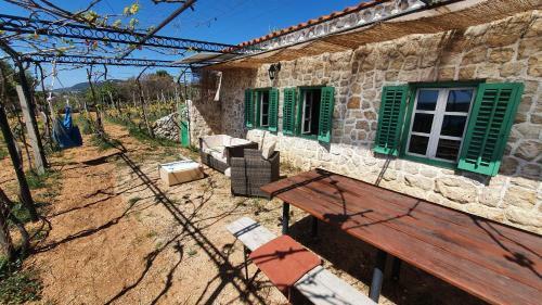 Ecological Vineyard House