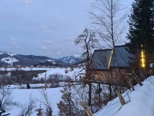 Tree House