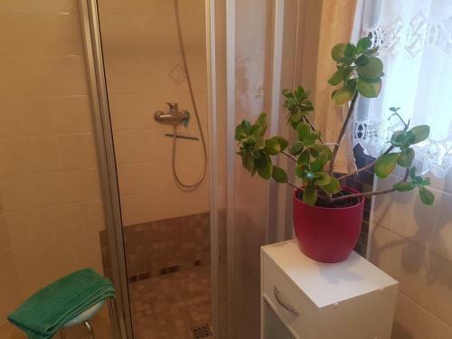 Apartamento Ferienwohnung Im Blumengarten