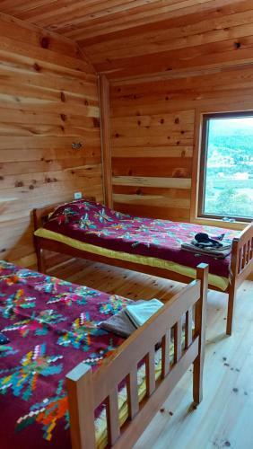 Bed & Breakfast Log Cabin 1 Merdovic