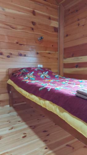 Bed & Breakfast Log Cabin 1 Merdovic