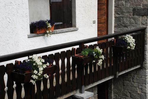 Apartamento Chalet Stella Alpina
