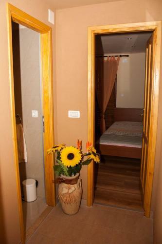House Eleonora