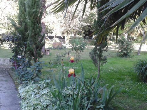 G�te Rouge Calme Et Nature