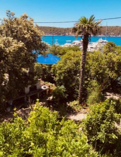 Apartamento Villa Mali