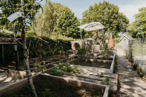Inner Stillness Wellness Retreat