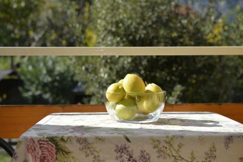 Hostal Mediterranean Holiday House & Apartments