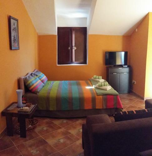 Apartamentos Studio Forum
