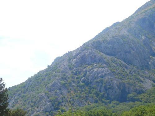 Hostal Villa Aronija