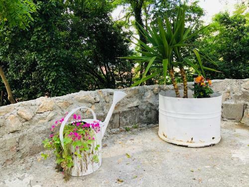Apartment Mirela - Cosy Studio, 1km From Kotor Old Town