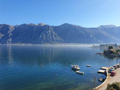 Apartamento Magnolia Adriatic