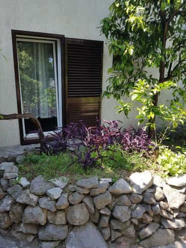 Hostal Apartmani Sara