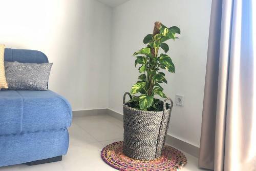Apartamento Modern & Chic Apt - 50 Steps From The Sea