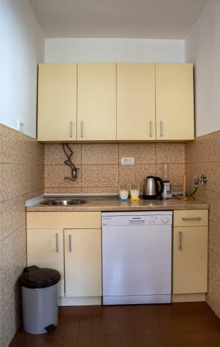 Apartment Monica Niksic