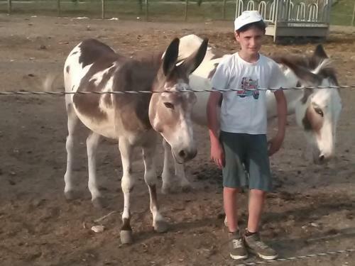 Agroturismo All'antica Ruggine