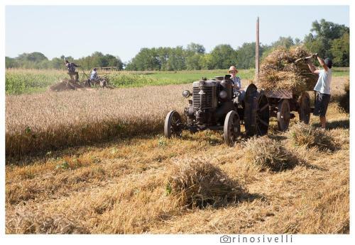 Agroturismo All'antica Ruggine
