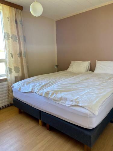 Bed & Breakfast Sy�stib�r Guesthouse