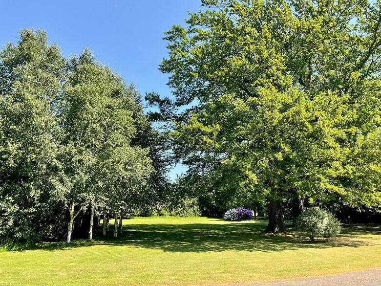 Bed & Breakfast Chatton Park House