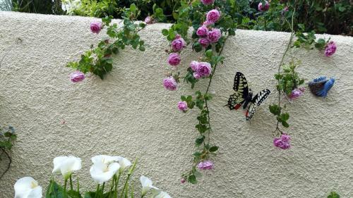 Lurig View B&B