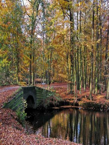 Holiday Home Canal View