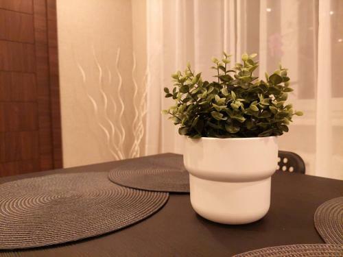 M14 Apartment
