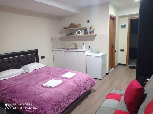 Marshall Gudauri Apartment
