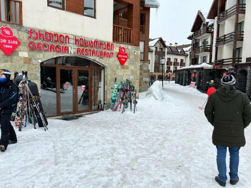 Gudauri Twins Hotel Ski Resort