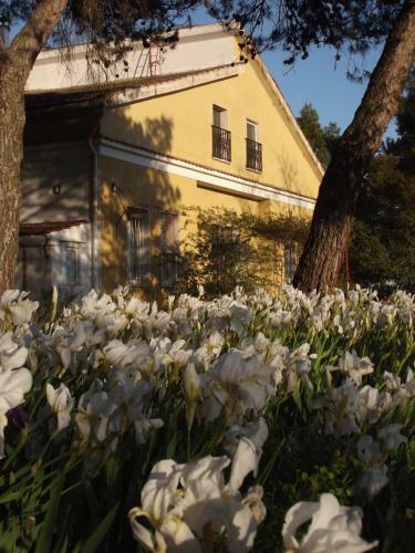 Bed & Breakfast Giardino Della Moscatella