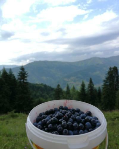 Agroturismo Eco Village Jasavic