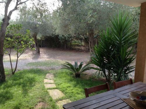 Apartamento Gli Ulivi