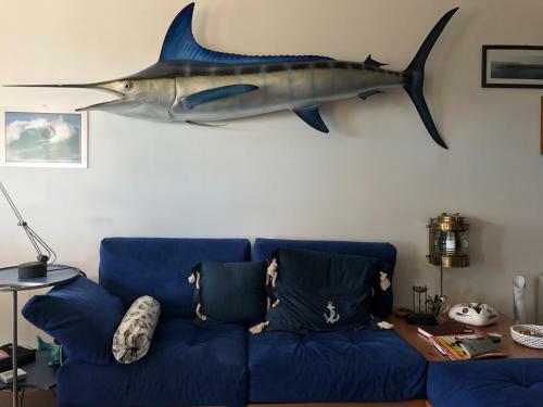 Apartamento Vest House 45