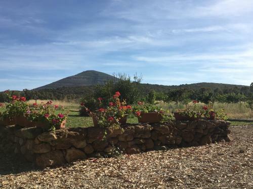 Agroturismo Villa Arzilla Sardegna
