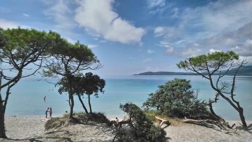 B&B Gaud�