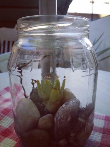 Apartamento Nonna Nina