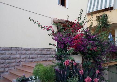 Bed & Breakfast Al 32 Y 3