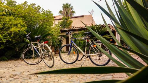 Bed & Breakfast Alghero In Bicicletta
