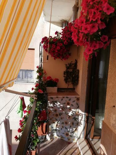 Bed & Breakfast L'anfora