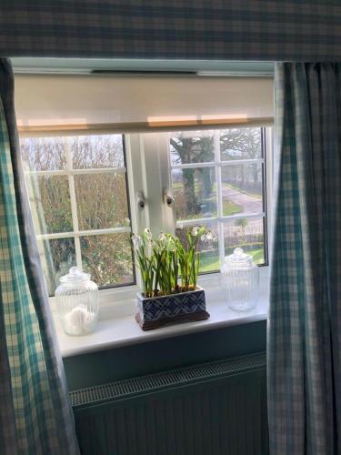 Bed & Breakfast Foxley Brow House
