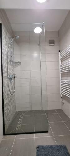 Svir Skyline Apartment No 39